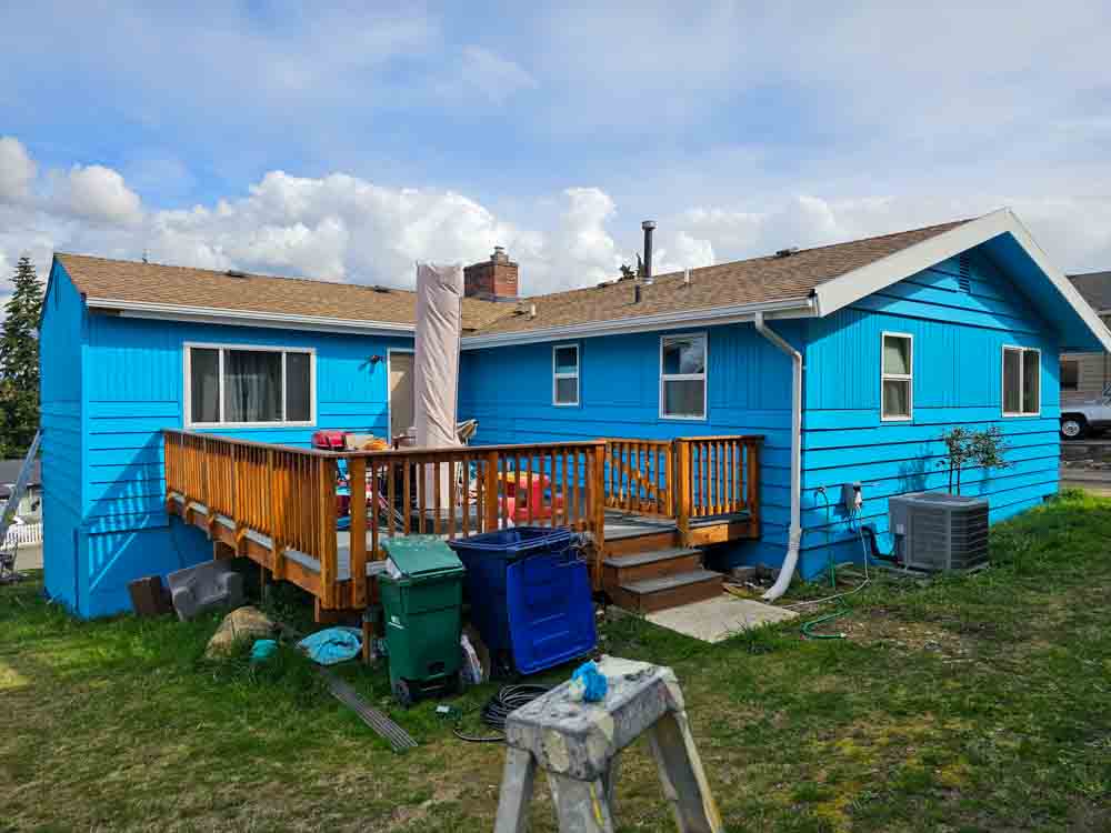 A house with exterior walls painted with sky blue color - backyard view